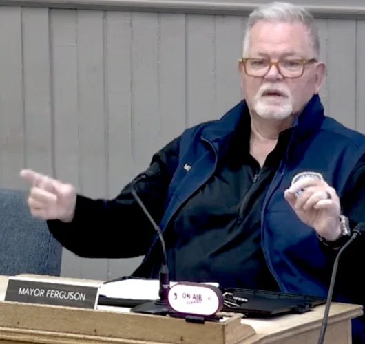Trustees eye return of public comments